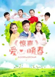 Bất ngờ. Trái tim ấm áp mùa xuân (Bất ngờ. Trái tim ấm áp mùa xuân) [2017]